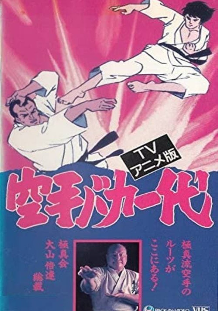 Karate Master streaming tv show online